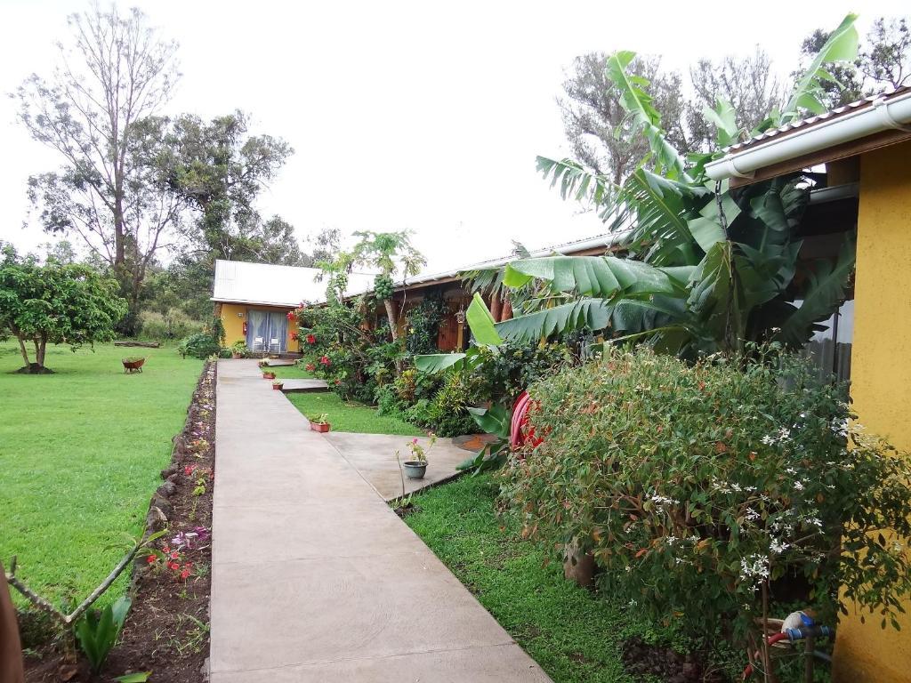 Cabanas Rapa Nui Orito Villa Hanga Roa Exterior photo
